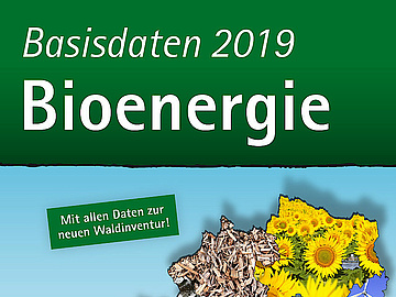 www.biomasseverband.at